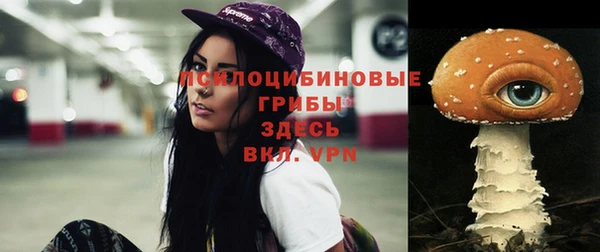 ГАЛЛЮЦИНОГЕННЫЕ ГРИБЫ Алзамай