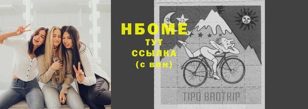 ГАЛЛЮЦИНОГЕННЫЕ ГРИБЫ Алзамай