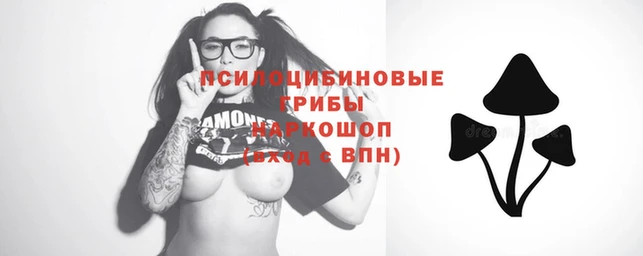 дмт Абдулино