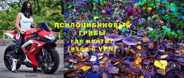 MESCALINE Нязепетровск