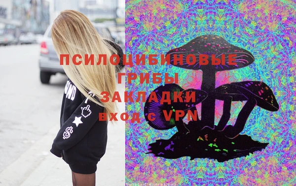 ALPHA-PVP Алексеевка
