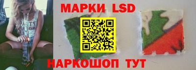 шишки Кимры