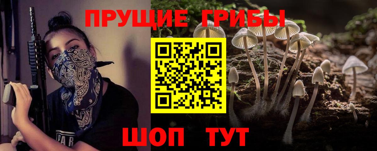 Галлюциногенные грибы прущие грибы  Галлюциногенные грибы мицелий  Вход с VPN  что такое наркотик  Лангепас 